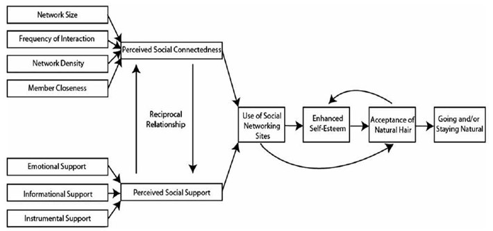 Figure 3 - Ellington's (2015) model for the influence of social media networks on the acceptance of natural hair